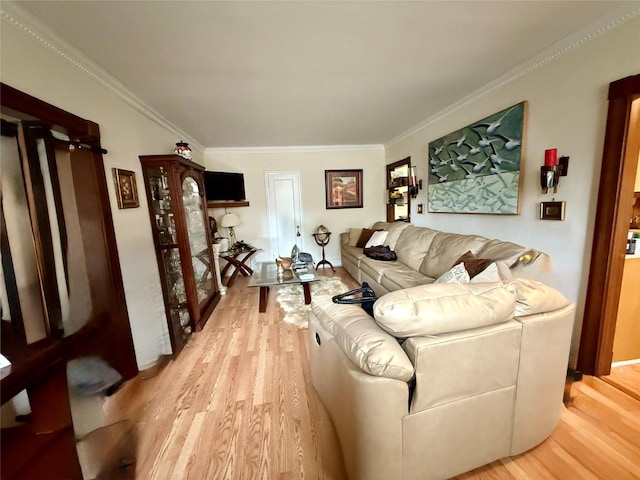 2 Lockwood Ave Unit 2B, Bronxville, NY 10708 - living area featuring light wood-style floors and ornamental molding