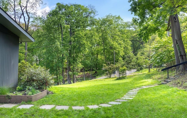 view of grassy yard