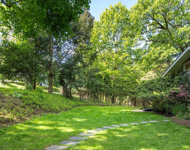 view of grassy yard