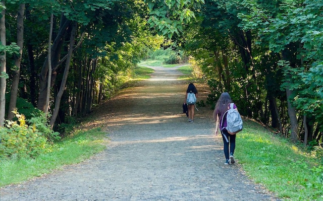 surrounding community with driveway