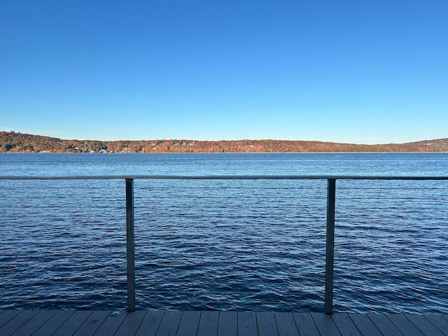 dock featuring a water view