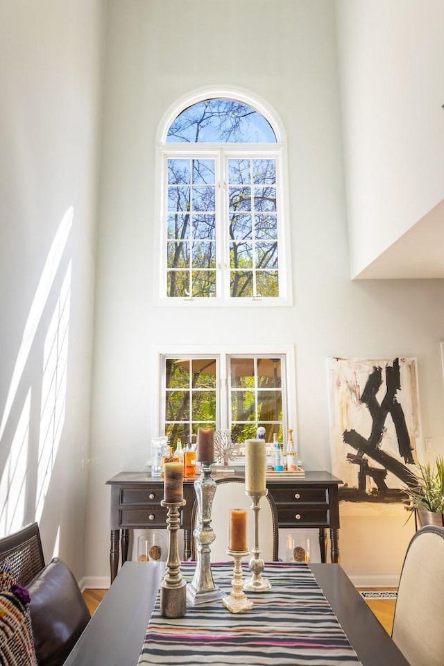 dining room with a high ceiling, wood finished floors, and baseboards