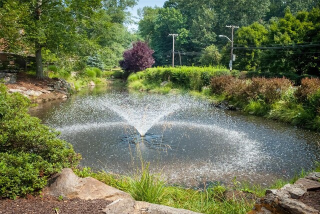 52 Round Hill Rd, Dobbs Ferry, NY 10522 - view of water feature