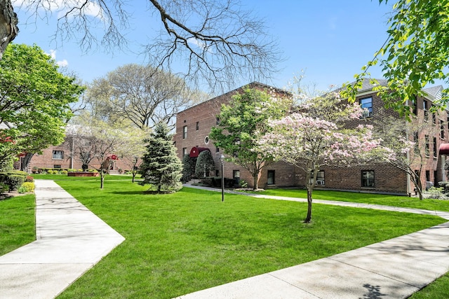 view of community with a yard