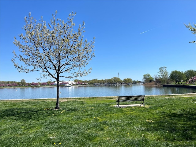view of water feature