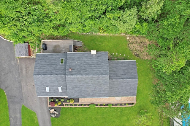 bird's eye view