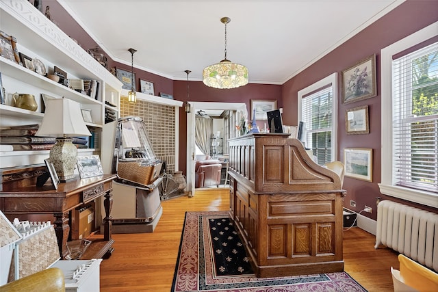 1271 Beverly Rd, Douglaston, NY 11363 - interior space with radiator heating unit, hanging light fixtures, light wood-style floors, and a healthy amount of sunlight