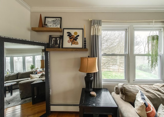 37 Rural Ave, Wingdale, NY 12594 - sitting room featuring plenty of natural light, crown molding, wood finished floors, and baseboard heating