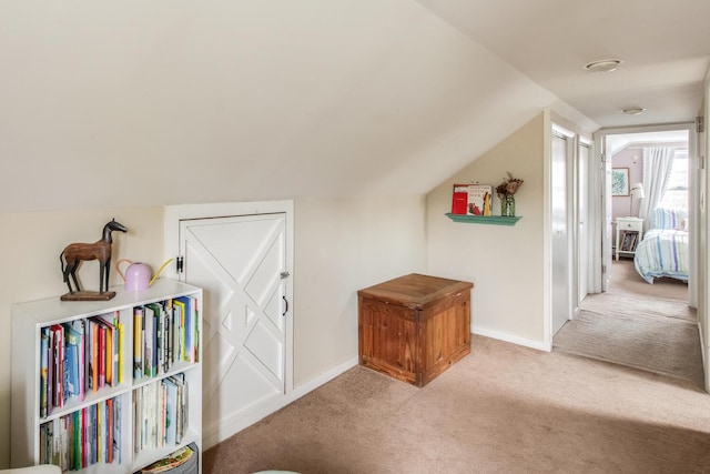 37 Rural Ave, Wingdale, NY 12594 - additional living space with baseboards, lofted ceiling, and light carpet