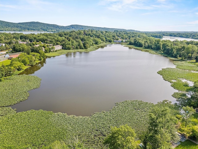 125 Lakewood Dr, Congers, NY 10920 - bird's eye view of a large body of water and a heavily wooded area