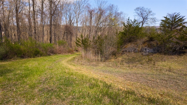 view of nature