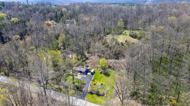 aerial view with a forest view
