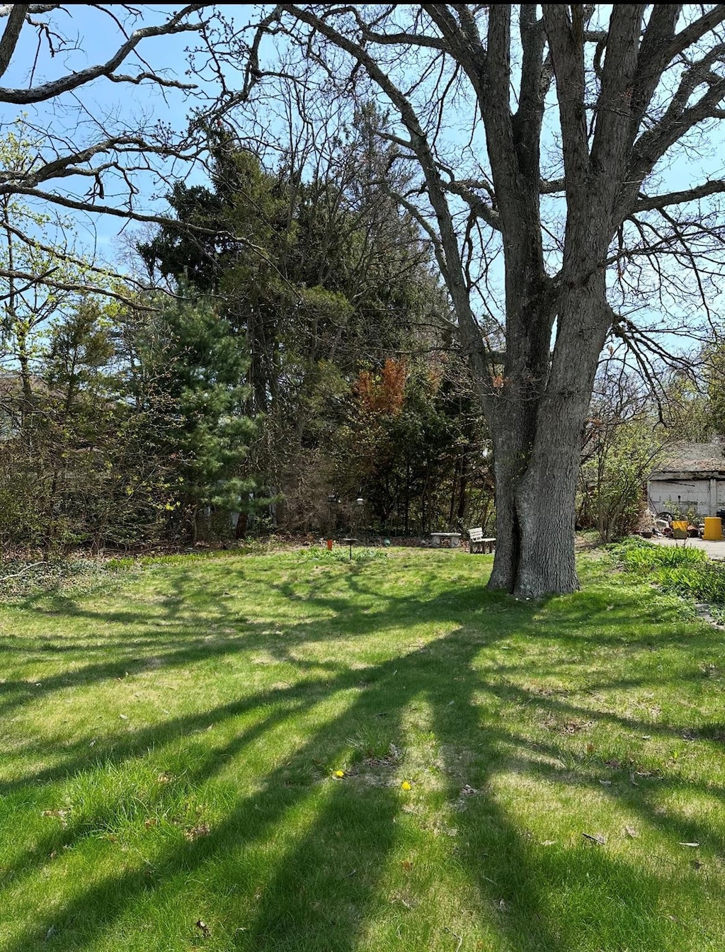 view of grassy yard