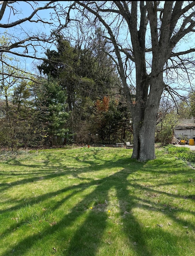 view of grassy yard