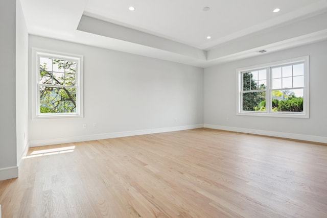 44 Harbor Hills Dr, Port Washington, NY 11050 - unfurnished room featuring recessed lighting, a raised ceiling, and light wood-style flooring