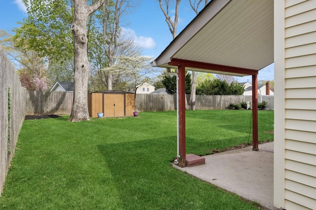 view of yard with a patio, a fenced backyard, a storage shed, and an outdoor structure