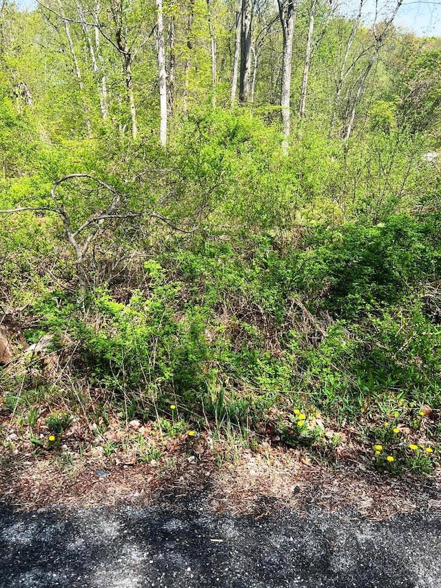 LOT73 Brookside Rd, Putnam Valley, NY 10579 - photo 3