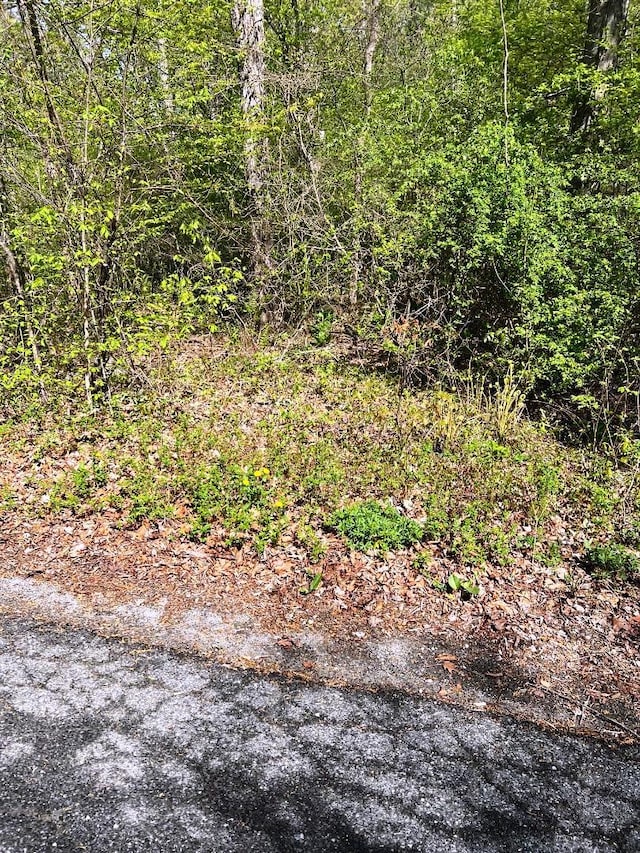 LOT73 Brookside Rd, Putnam Valley, NY 10579 - photo 5