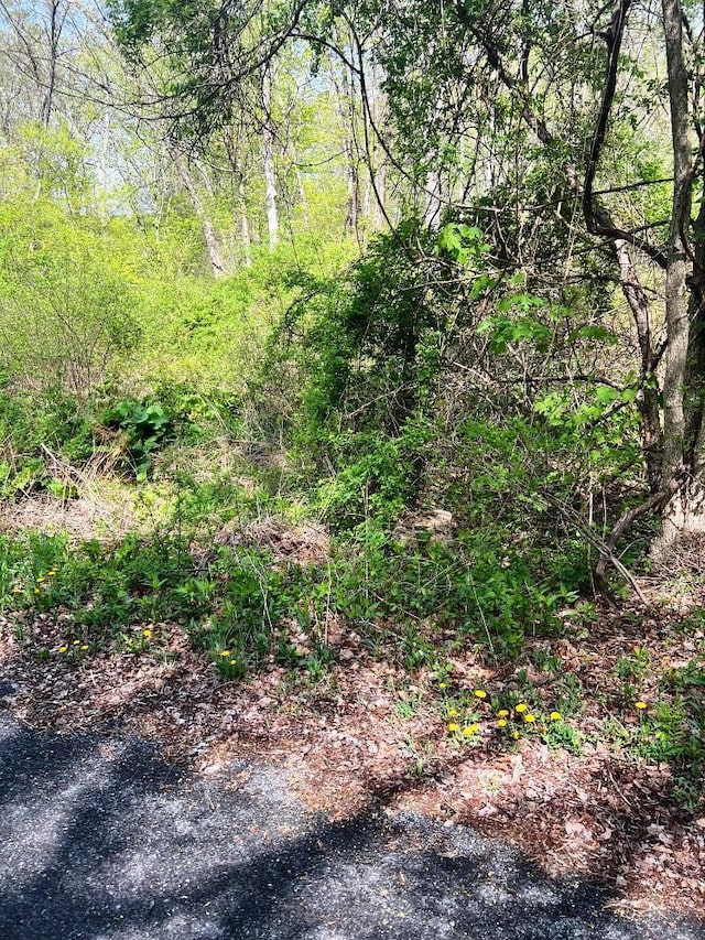 LOT73 Brookside Rd, Putnam Valley, NY 10579 - photo 6