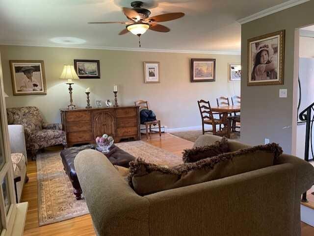 living room featuring ornamental molding, light wood-style floors, baseboards, ceiling fan, and baseboard heating