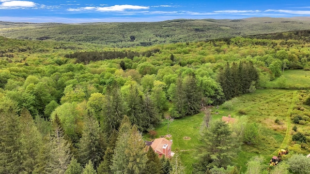85 Woodard Rd, Parksville, NY 12768 - bird's eye view of a heavily wooded area