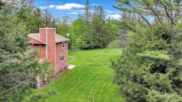 85 Woodard Rd, Parksville, NY 12768 - view of green lawn