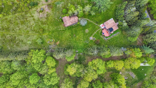 85 Woodard Rd, Parksville, NY 12768 - drone / aerial view