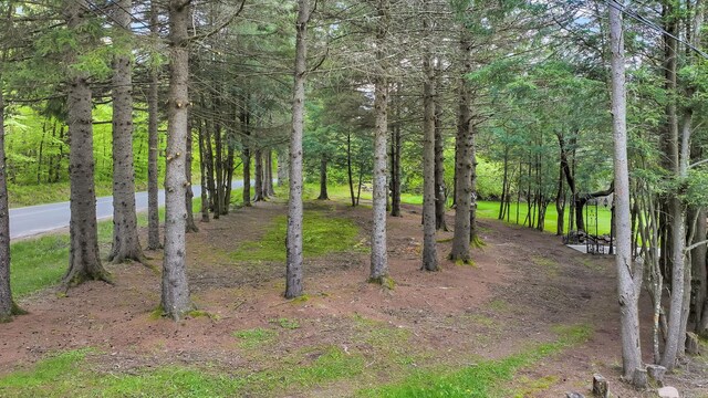 85 Woodard Rd, Parksville, NY 12768 - view of local wilderness