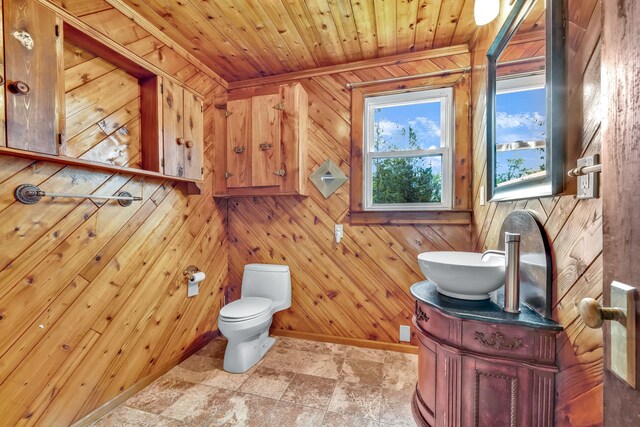 85 Woodard Rd, Parksville, NY 12768 - half bathroom featuring wood walls, vanity, toilet, baseboards, and stone finish flooring