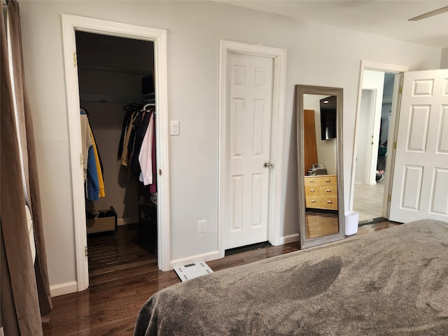 bedroom with a walk in closet, baseboards, dark wood-type flooring, and a closet