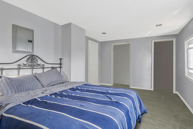bedroom with baseboards, carpet flooring, and electric panel