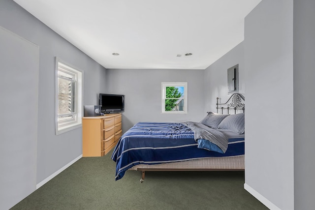 bedroom featuring baseboards and carpet