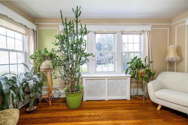 sitting room with radiator heating unit and wood finished floors
