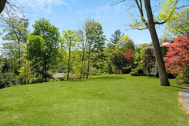 376 Beechmont Dr, New Rochelle, NY 10804 - photo 22