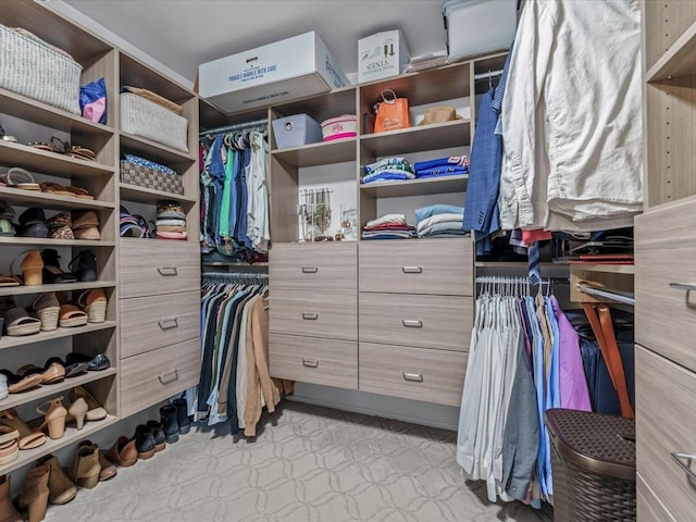 54 Hidden Ridge Dr, Syosset, NY 11791 - walk in closet with light floors