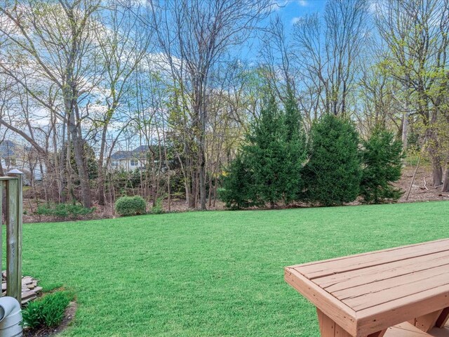 54 Hidden Ridge Dr, Syosset, NY 11791 - view of yard
