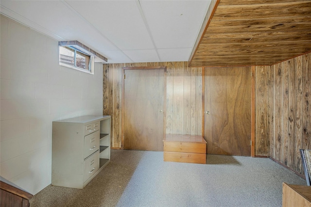 basement with wooden walls