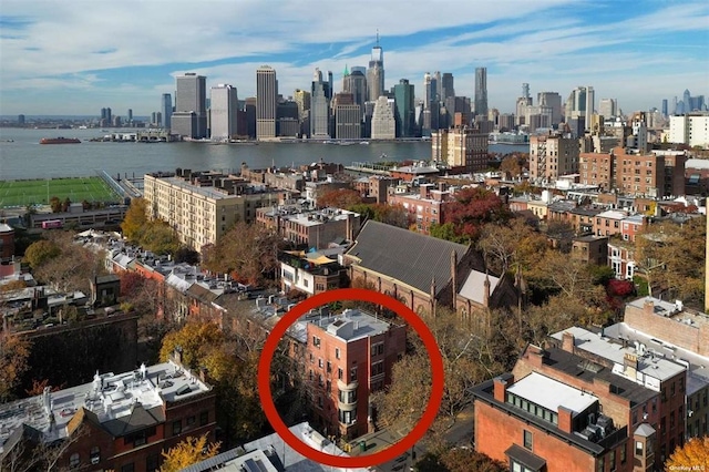 260 Hicks St, Brooklyn, NY 11201 - photo 10