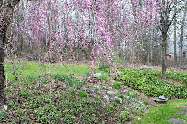 125 Tick Tock Way, Stanfordville, NY 12581 - view of yard