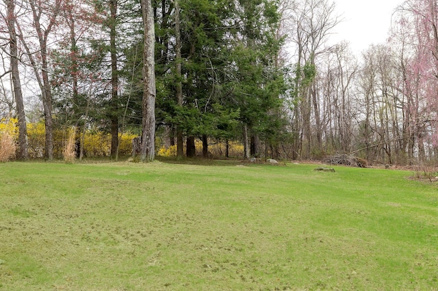 125 Tick Tock Way, Stanfordville, NY 12581 - view of green lawn