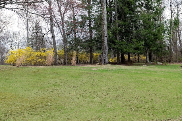 125 Tick Tock Way, Stanfordville, NY 12581 - view of grassy yard