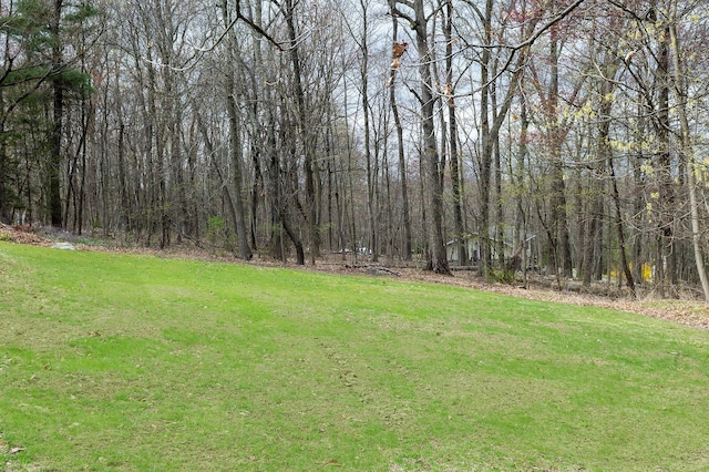 125 Tick Tock Way, Stanfordville, NY 12581 - view of grassy yard featuring a wooded view