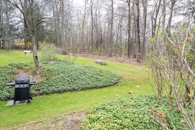 125 Tick Tock Way, Stanfordville, NY 12581 - view of green lawn