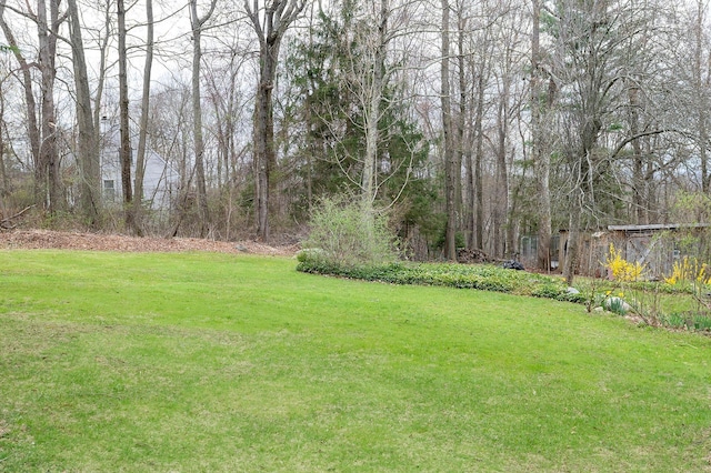 125 Tick Tock Way, Stanfordville, NY 12581 - view of grassy yard