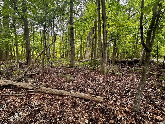28 Ludlow Ln, Palisades, NY 10964