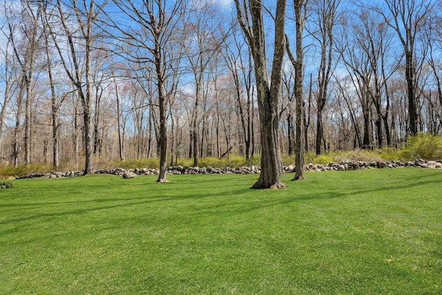 20 Schoolhouse Rd, Waccabuc, NY 10597 - view of yard