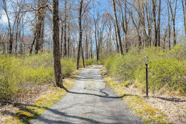 20 Schoolhouse Rd, Waccabuc, NY 10597 - view of road