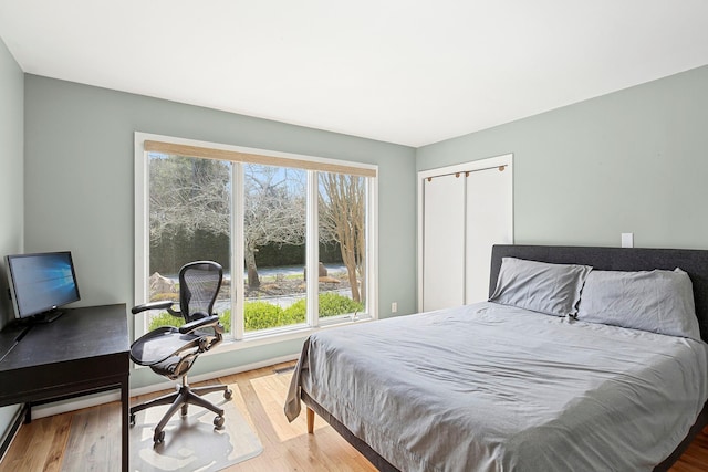 bedroom with wood finished floors and a closet