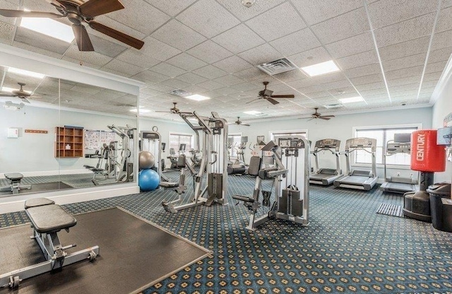 workout area featuring carpet, visible vents, a drop ceiling, and ceiling fan