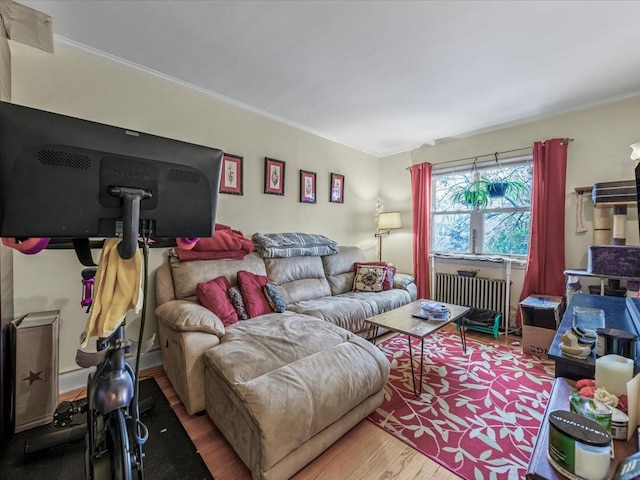 living area featuring radiator, wood finished floors, and crown molding